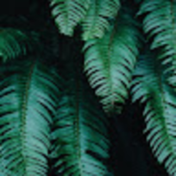 Meet your Posher, Nathan - Picture 1 of 1